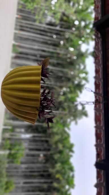 Shi'S Shambhavi Homestay -On The Way To Isha, Maruthamalai Коимбатур Экстерьер фото